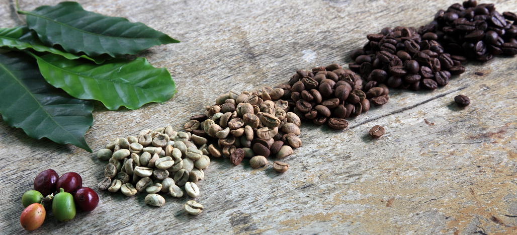bio-fairtrade-kaffee