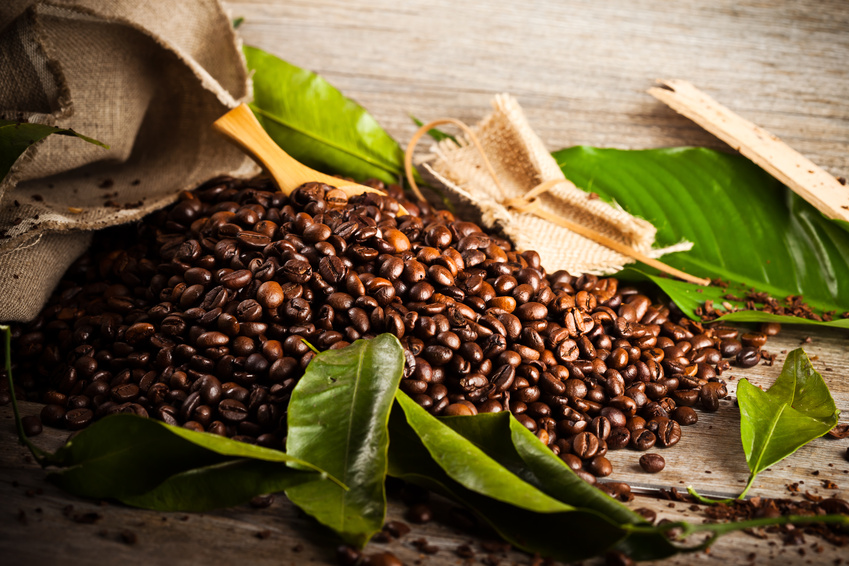 Was macht einen Bio Kaffee zum Bio Kaffee?
